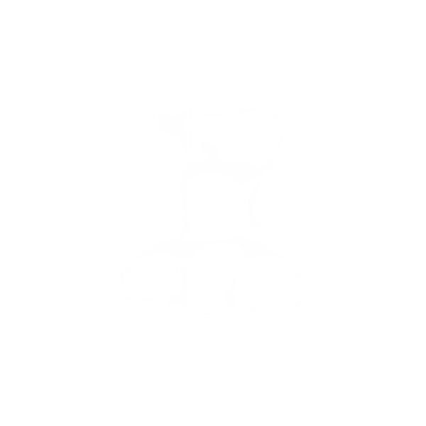 THE CEO FILES